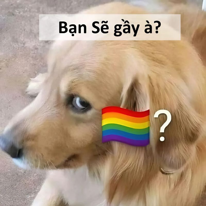 se-gay-meme