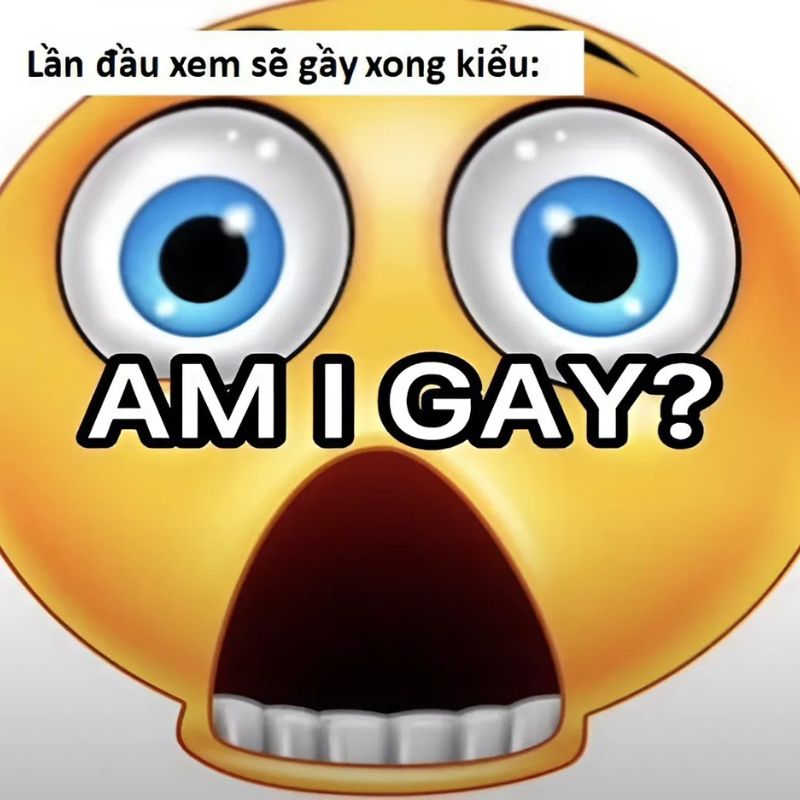 se-gay-meme