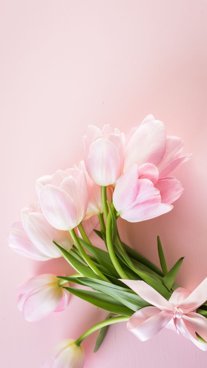 Mỗi ảnh hoa tulip là một cảm xúc khác nhau